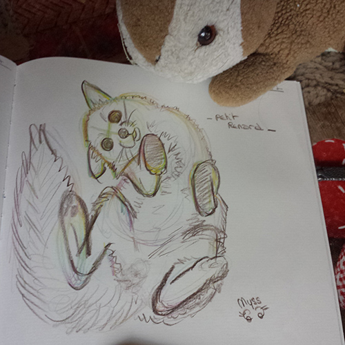 Dessin d'un renard au pelage d'automne