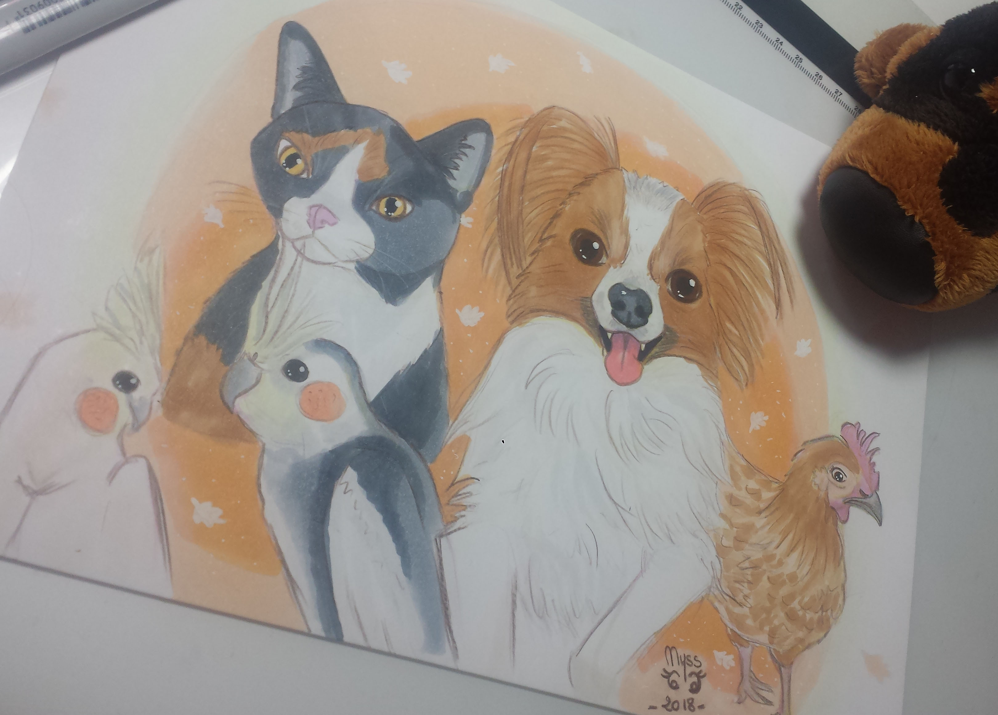 animaux